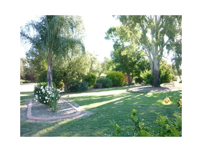 157 Whytes Road, St George QLD 4487