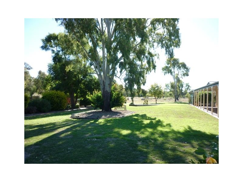 157 Whytes Road, St George QLD 4487