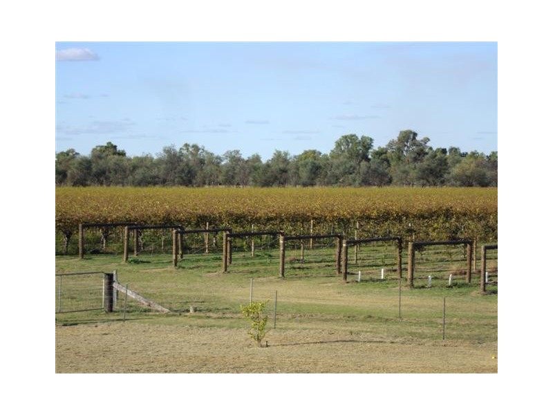 157 Whytes Road, St George QLD 4487