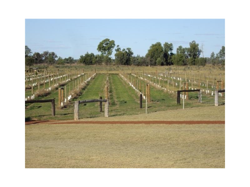 157 Whytes Road, St George QLD 4487