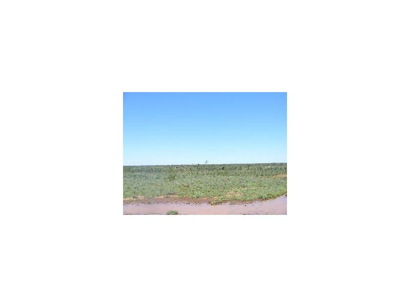 1840 Unity Road, St George QLD 4487