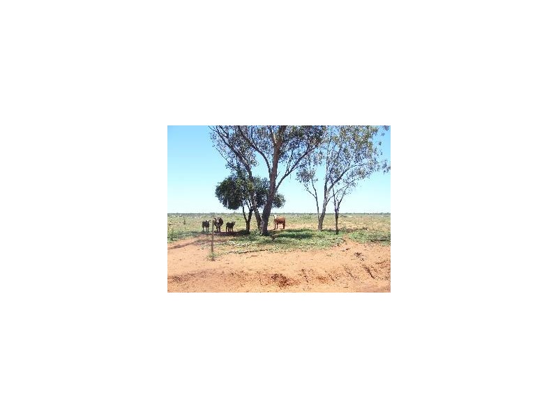 1840 Unity Road, St George QLD 4487