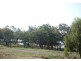 12333 Carnarvon Highway, St George QLD 4487