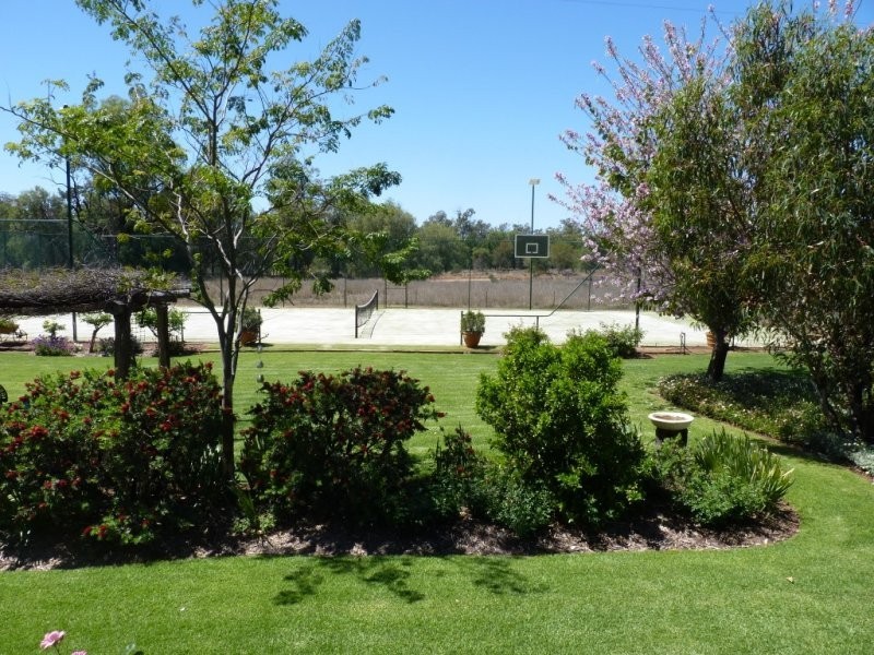 213 Whytes Road, St George QLD 4487