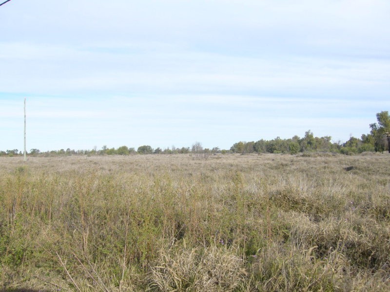 Lot 5 Mitchell Street, St George QLD 4487