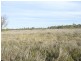 Lot 5 Mitchell Street, St George QLD 4487