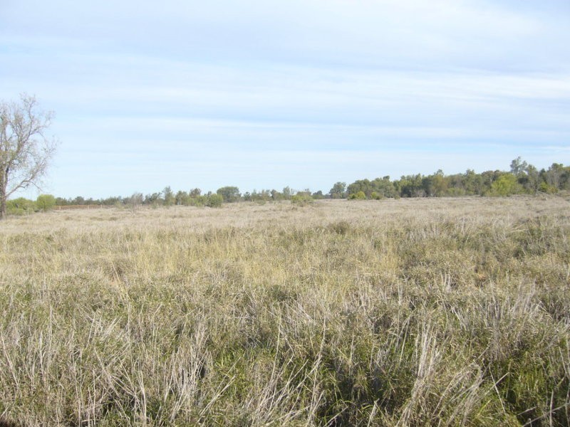 Lot 5 Mitchell Street, St George QLD 4487
