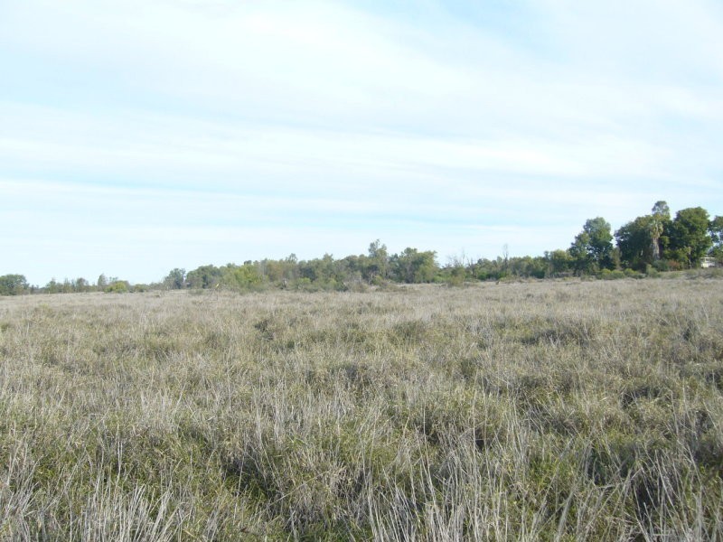 Lot 5 Mitchell Street, St George QLD 4487