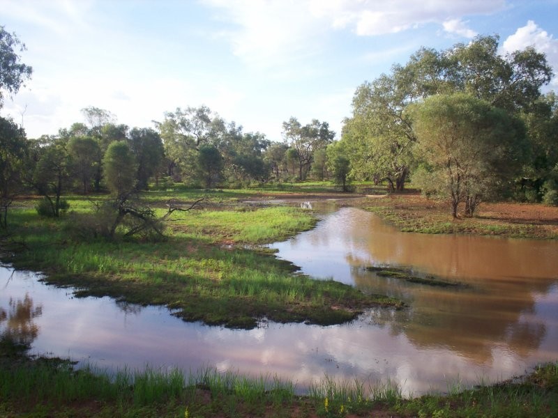 “Moama” 100KM Nw Of Eulo, Bollon QLD 4488