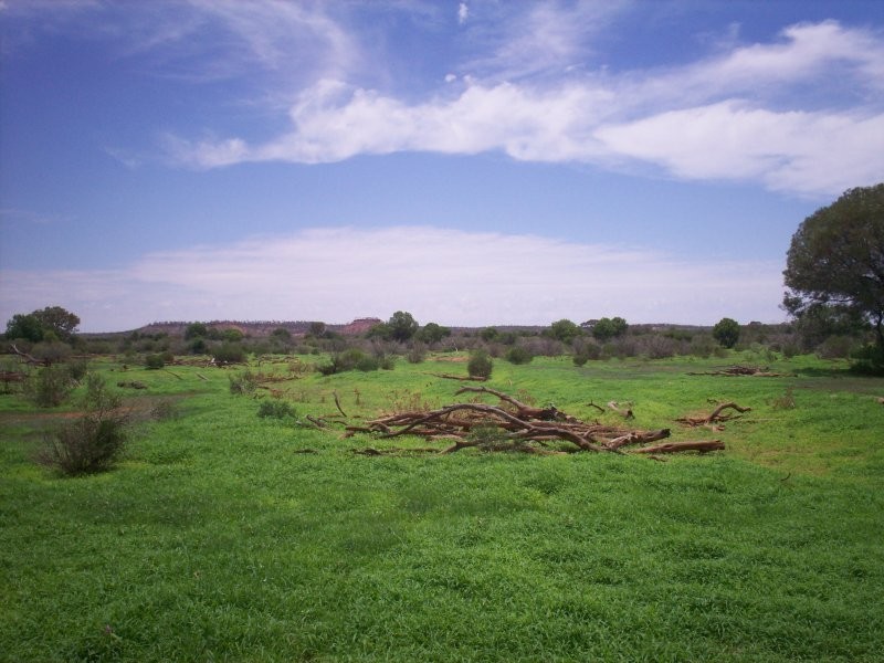 “Moama” 100KM Nw Of Eulo, Bollon QLD 4488