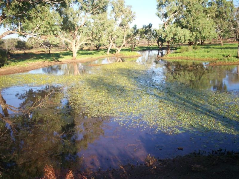 “Moama” 100KM Nw Of Eulo, Bollon QLD 4488