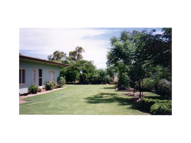 “Acme Downs” 44KM South of Bollon, 160km West of St George, Bollon QLD 4488