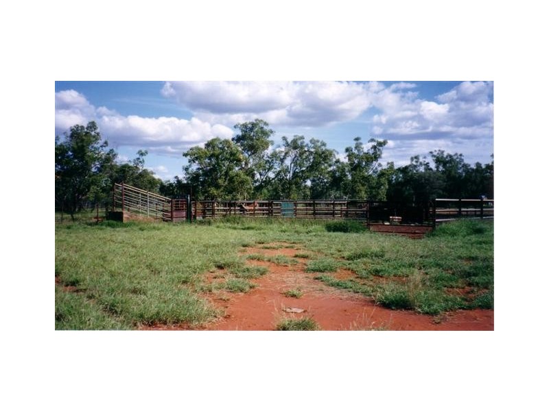 “Acme Downs” 44KM South of Bollon, 160km West of St George, Bollon QLD 4488