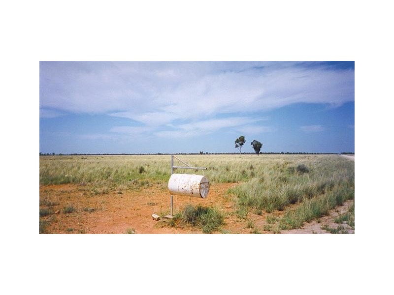 “Acme Downs” 44KM South of Bollon, 160km West of St George, Bollon QLD 4488