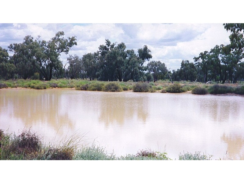 “Acme Downs” 44KM South of Bollon, 160km West of St George, Bollon QLD 4488