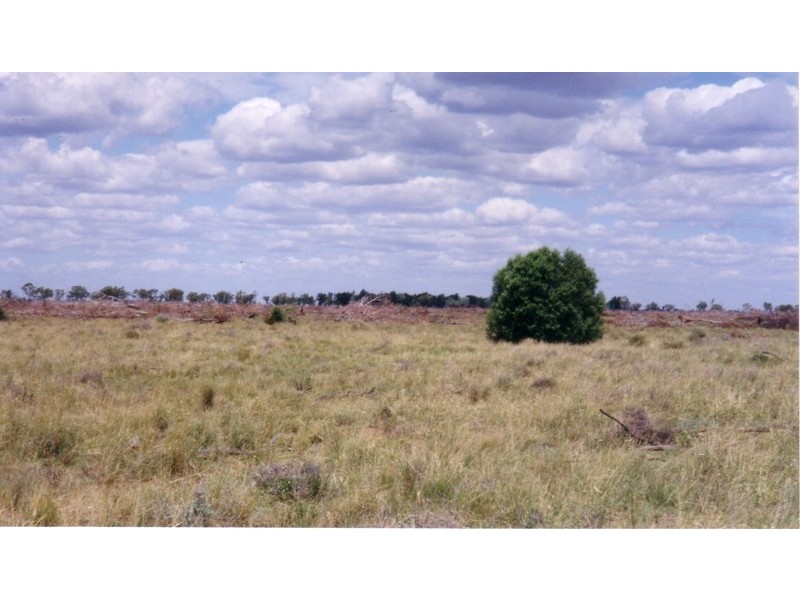 “Acme Downs” 44KM South of Bollon, 160km West of St George, Bollon QLD 4488