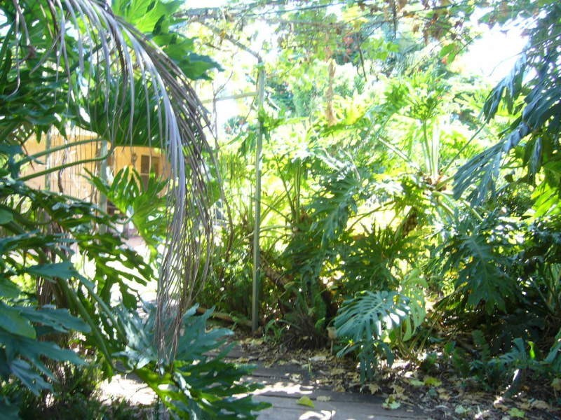 134 Arthur Street, St George QLD 4487