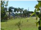 137 Alfred Street, St George QLD 4487