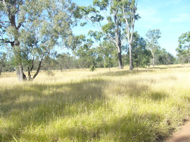 Nindigully Noble Street, St George QLD 4487