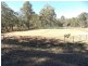 154 Scott’s Lane, Nanango QLD 4615