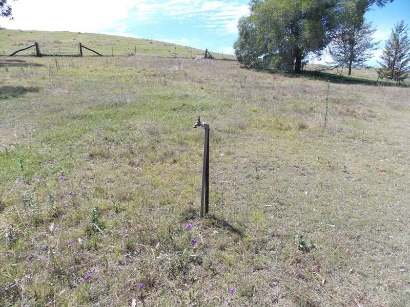 91 Hamilton Road, Nanango QLD 4615