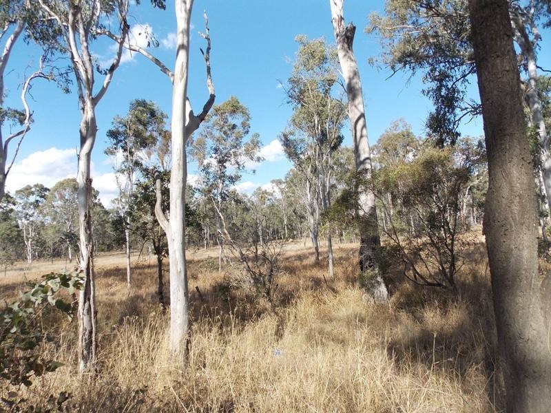 Lot 204 Silverleaf Road, Nanango QLD 4615