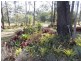 187 Old Esk North Rd, Nanango QLD 4615