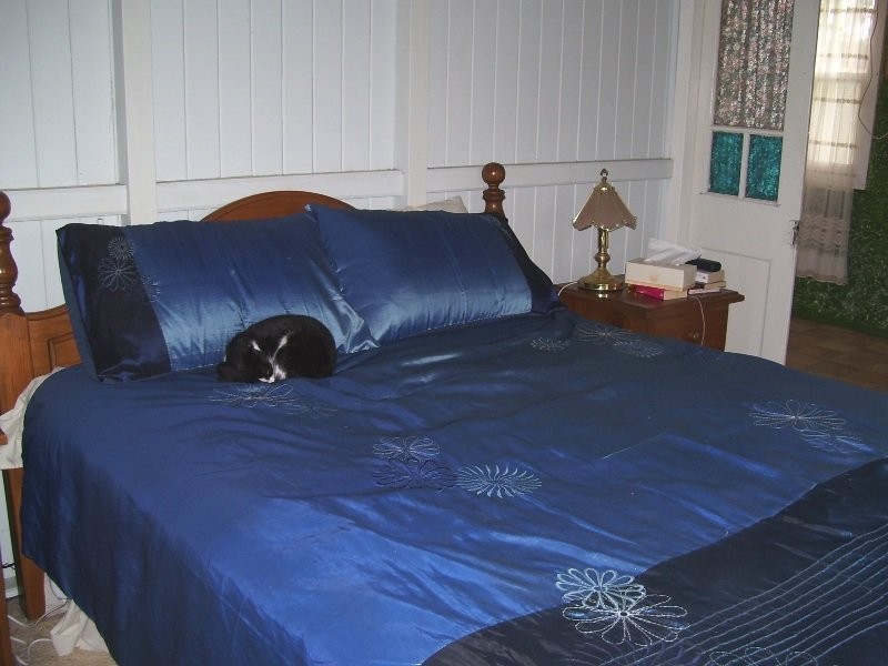 26 Racecourse Road, Nanango QLD 4615