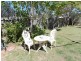 1 Fairway Drive, Nanango QLD 4615