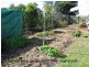 16 Cairns Street, Nanango QLD 4615