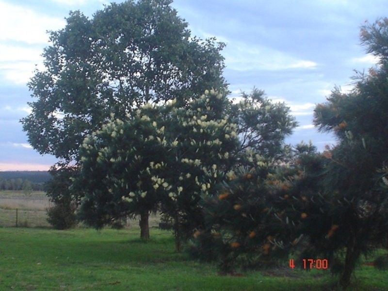 45 Hohnke Road, Nanango QLD 4615