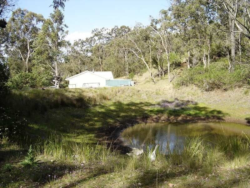 226 Saddletree Creek Road, Maidenwell QLD 4615