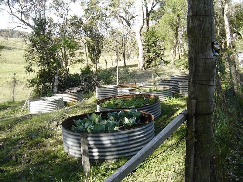 226 Saddletree Creek Road, Maidenwell QLD 4615