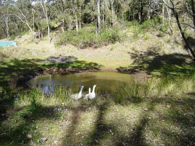 226 Saddletree Creek Road, Maidenwell QLD 4615