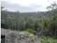 226 Saddletree Creek Road, Maidenwell QLD 4615