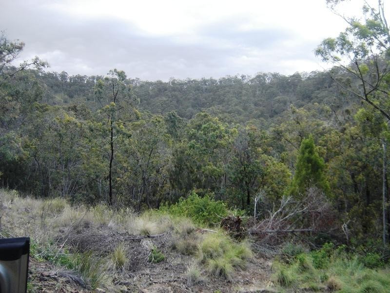 226 Saddletree Creek Road, Maidenwell QLD 4615
