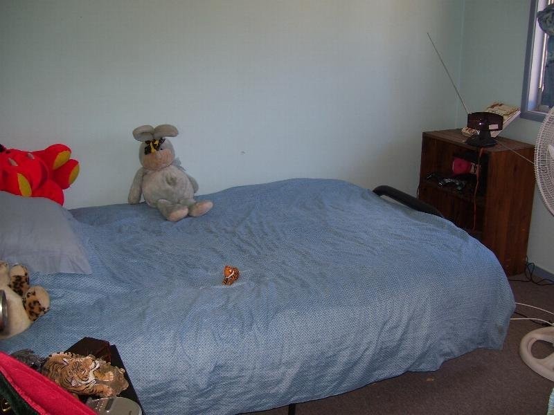 103 Malar Crescent, Booie QLD 4610