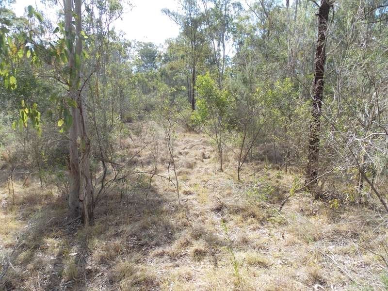 39 Chappel Road, Nanango QLD 4615