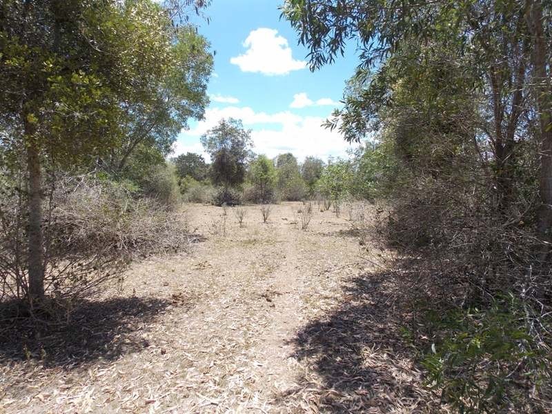 127 Cobby Road, Nanango QLD 4615