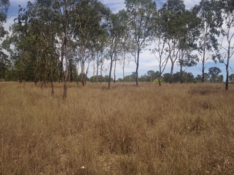 L13 Birch Road, Wattle Camp QLD 4615