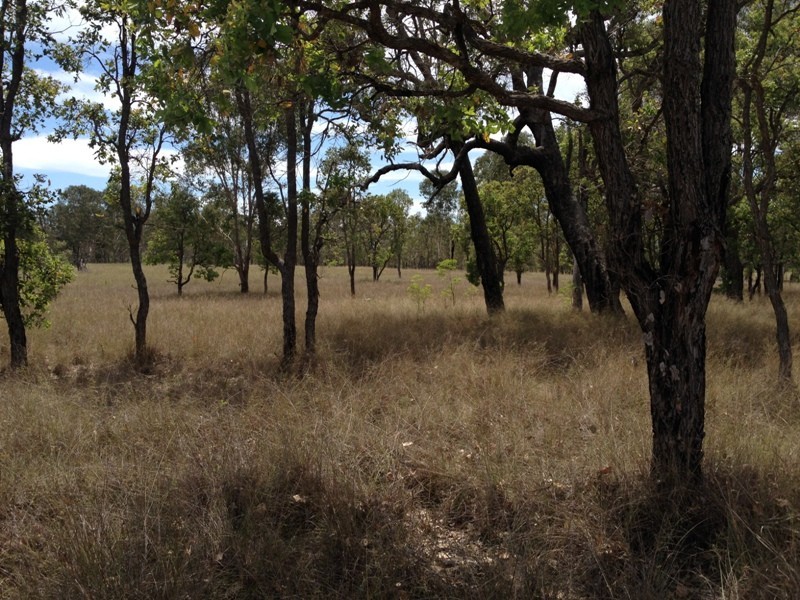 L13 Birch Road, Wattle Camp QLD 4615