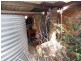 61 Pates Road, Nanango QLD 4615