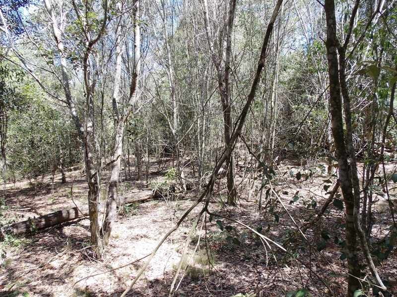 61 Pates Road, Nanango QLD 4615