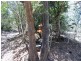 61 Pates Road, Nanango QLD 4615