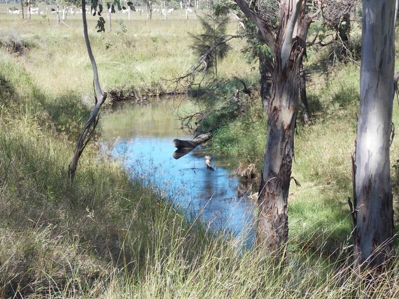 56 Andrews Road, Nanango QLD 4615