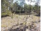 3547 Kingaroy Cooyar Road, Nanango QLD 4615