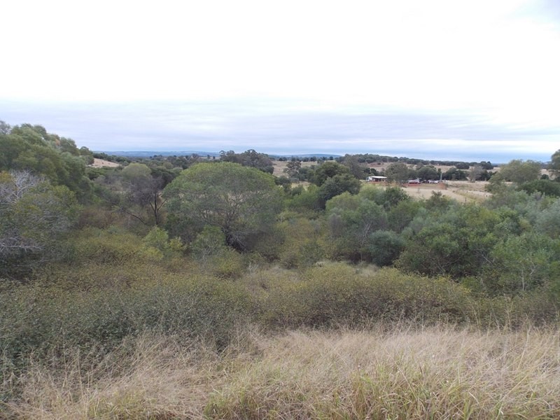 42 Hohnkes Road, Nanango QLD 4615