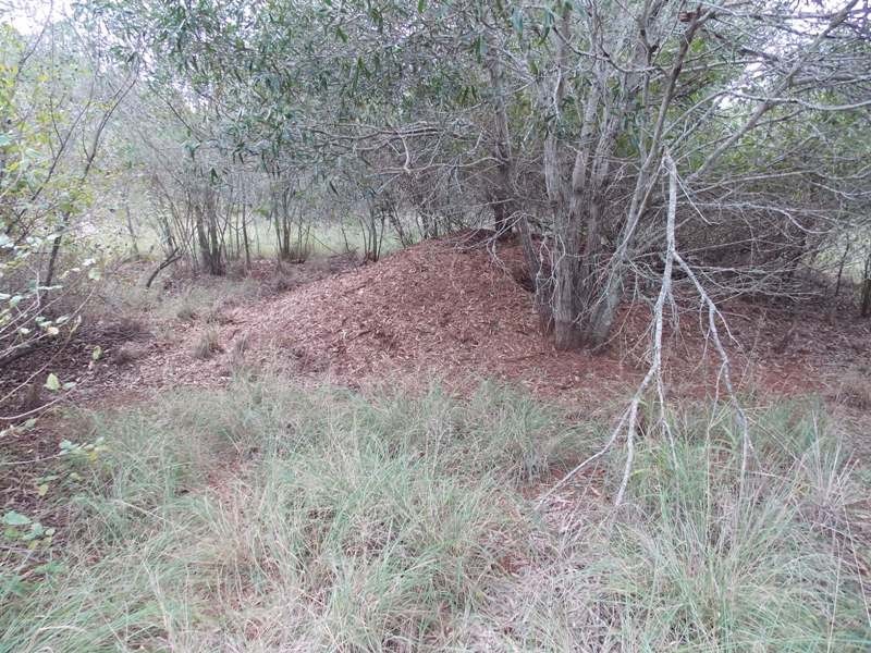 42 Hohnkes Road, Nanango QLD 4615