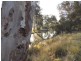 14240 D’AGUILAR HIGHWAY, Nanango QLD 4615