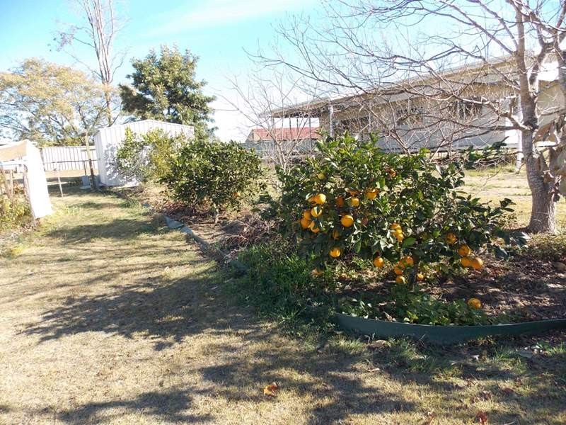 45 BUNKER AVENUE, Nanango QLD 4615